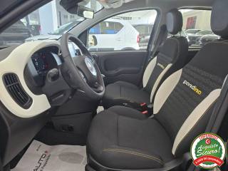 FIAT Panda usata, con Sensore di pioggia