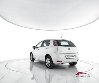 FIAT Punto usata 3