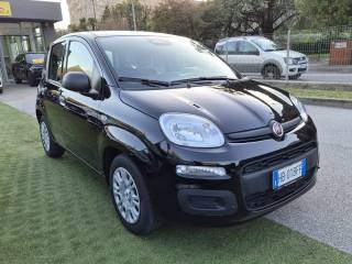 FIAT Panda usata, con Climatizzatore
