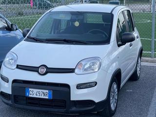 FIAT Panda usata, con Chiusura centralizzata