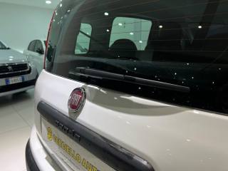 FIAT Panda usata, con Cruise Control