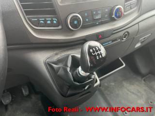 FORD Transit usata, con Fendinebbia