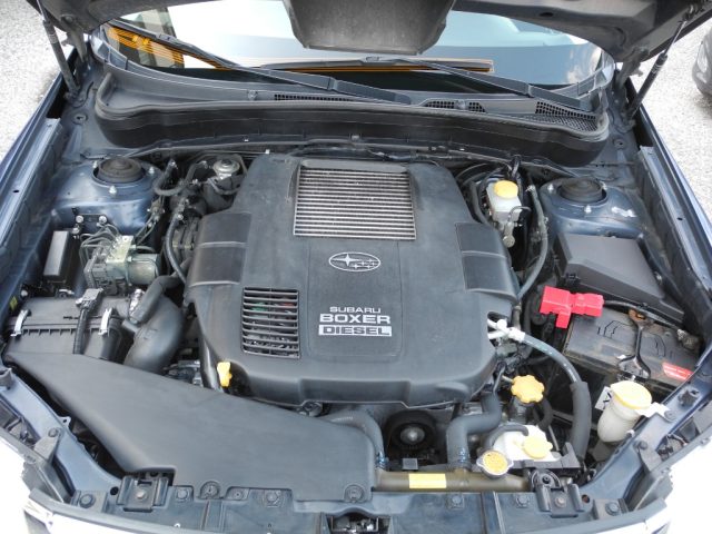 SUBARU Forester usata, con Fari Xenon