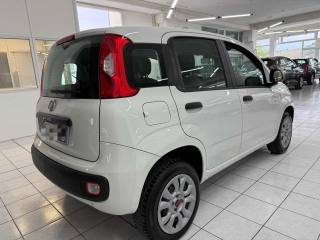 FIAT Panda usata, con Chiusura centralizzata