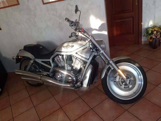HARLEY-DAVIDSON 1130 V-ROD - VRSCA usata 3