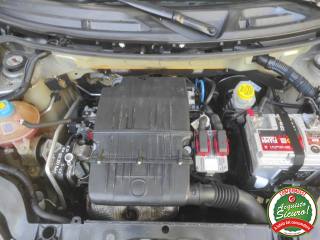 FIAT Panda usata 19