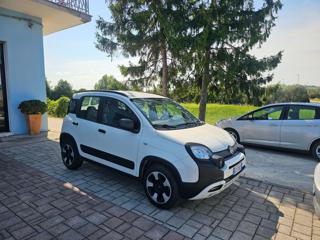 FIAT Panda Cross usata, con Climatizzatore
