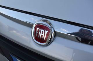 FIAT Punto Evo usata 18