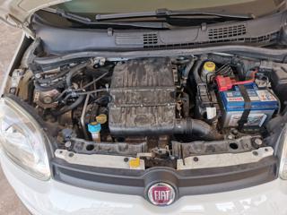 FIAT Panda usata 19