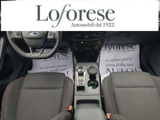 FORD Focus usata, con Climatizzatore