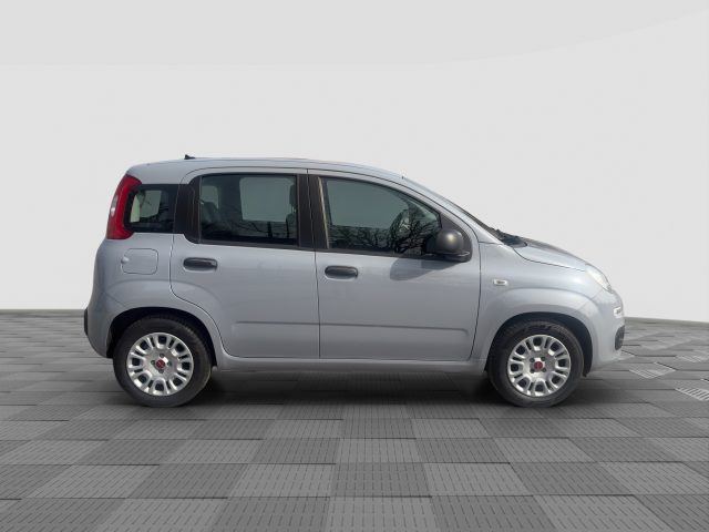 FIAT Panda usata 6