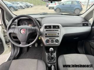 FIAT Punto usata 9