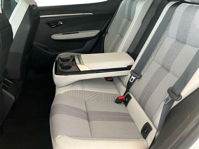 RENAULT Scenic usata, con USB