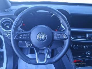 ALFA ROMEO Stelvio usata 13