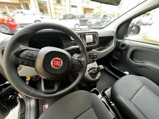 FIAT Panda usata, con Cruise Control