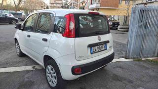 FIAT Panda usata, con Immobilizzatore elettronico