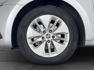 SKODA Octavia usata 15