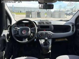 FIAT Panda usata 10