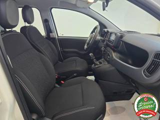 FIAT Panda usata 22