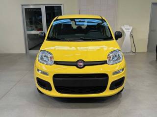 FIAT Panda usata, con Cruise Control