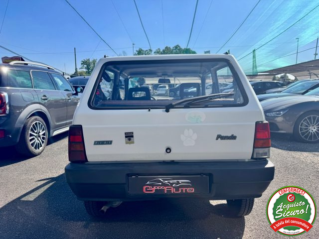 FIAT Panda usata 3