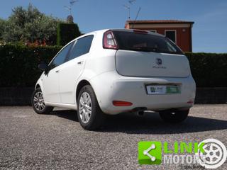 FIAT Punto usata 51