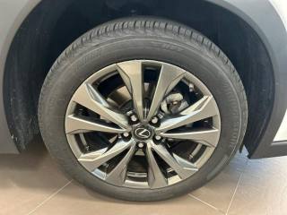 LEXUS UX 250h usata, con Fendinebbia