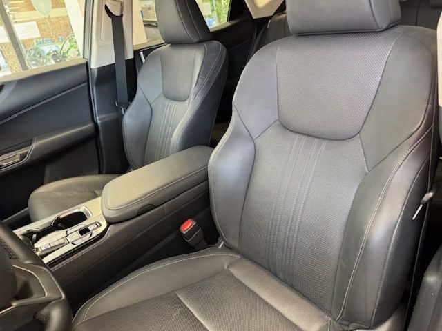 LEXUS NX 300h usata, con Climatizzatore