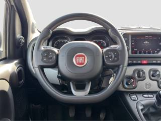 FIAT Panda usata 12