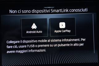 SKODA Karoq usata, con Bracciolo