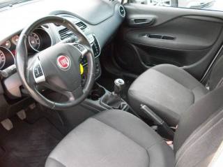 FIAT Punto usata 6