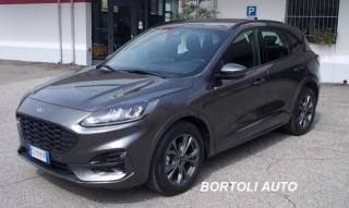 FORD Kuga 2.0 EcoBlue 1.900  KM  AUTOMATICA ST-LINE FULL OPT