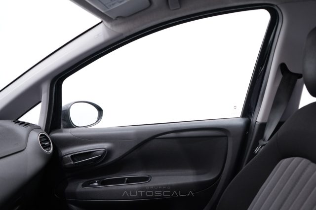 FIAT Punto usata 19