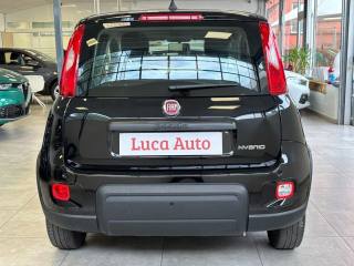 FIAT Panda usata, con Antifurto