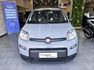 FIAT Panda usata, con Airbag