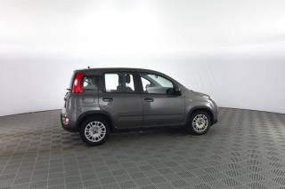 FIAT Panda usata 2