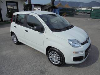 FIAT Panda usata, con Riconoscimento dei segnali stradali