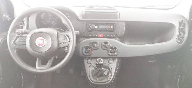 FIAT Panda usata, con Cronologia tagliandi