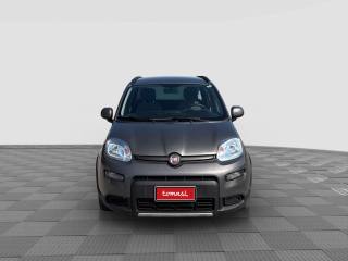 FIAT Panda usata 7