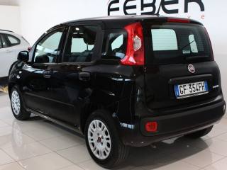 FIAT Panda usata, con Alzacristalli elettrici