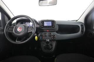 FIAT Panda usata 4