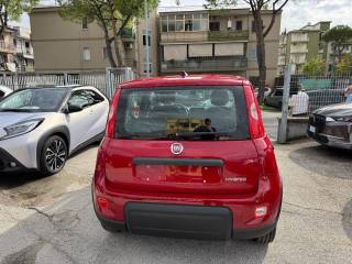 FIAT Panda usata, con Antifurto