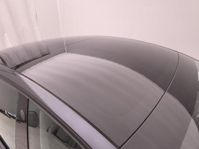 TESLA Model 3 usata 31