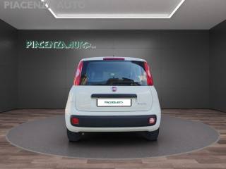 FIAT Panda usata, con Antifurto