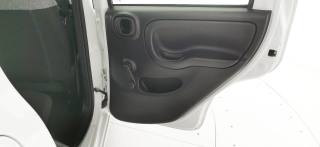 FIAT Panda usata 42