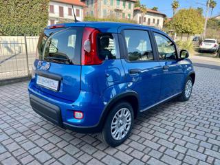 FIAT Panda usata, con Alzacristalli elettrici