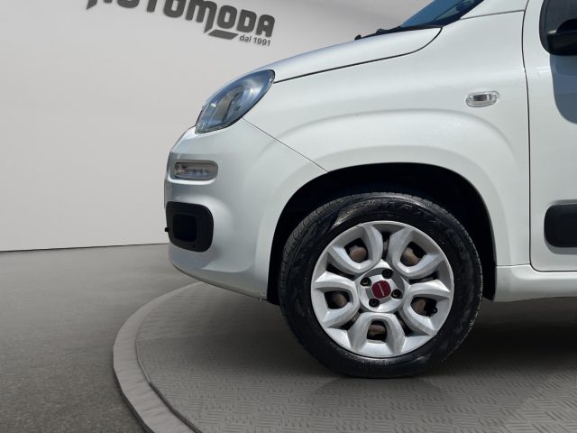 FIAT Panda usata 18