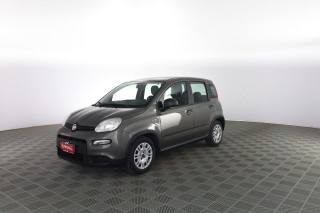 FIAT Panda usata 6