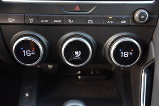 JAGUAR E-Pace usata, con Cruise Control