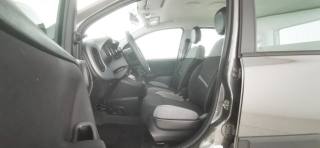 FIAT Panda usata 52